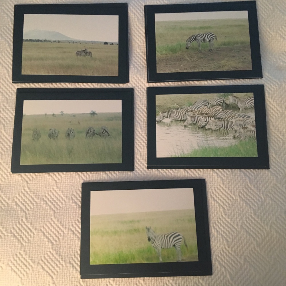 Zebra photograph card set